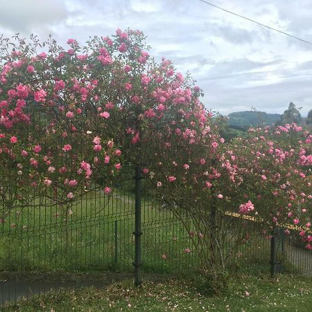 Candamin Acogedora Casa En Asturiasヴィラ エクステリア 写真